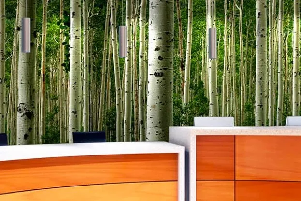 MDC Wallcovering | Homespun