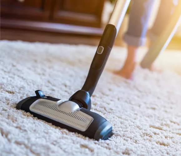 Carpet care | Homespun